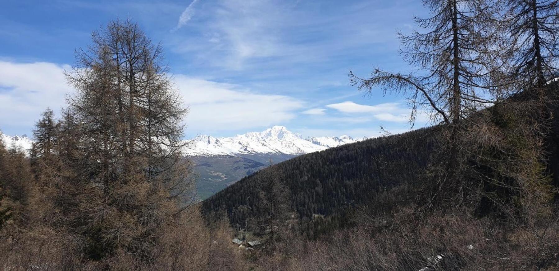 Residence Plagne Lauze - Maeva Home - Studio 2 Personnes - Selection Mae-9201 Macot-la-Plagne Exterior foto